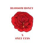 Blossom Honey (@blossomhoney) profile photo