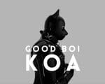 Koa (@goodboikoa) profile photo