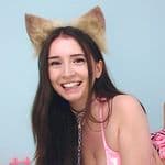Kitten Sophie (@kitten_sophie) profile photo